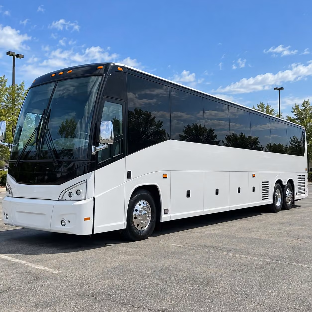 coral springs field trip bus rentals for nature and outdoor education programs
